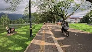 A Quiet Walk in the Park | Penang, Malaysia (POV) 🇲🇾