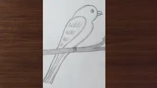 Bird Easy Drawing | 22 Number Drawing | Pencil Sketch 