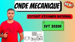 Onde Mécanique Progressive -Examen National 2020 R SVT