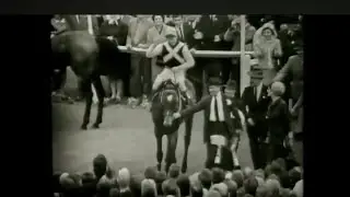 Mill House Racing Legend.