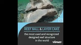Artificial marine habitat structures 1080p