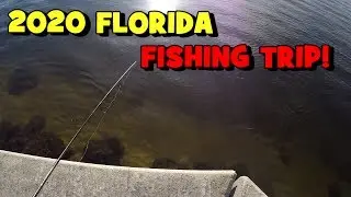 ...And The 2020 Florida FISHING TRIP Begins!!!