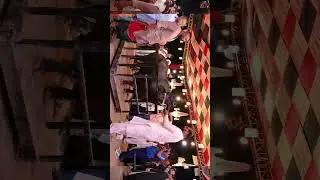 bulls weight competition #bakraeid #bakraeid2024  #bakraeidinpakistan #bulls #Qurbani2024  #cowmandi
