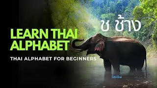 Your First Step to Reading Thai | Master the Thai Consonants in Minutes! | เรียนพยัญชนะไทย ก - ฮ