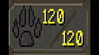 Kingdom RSPS Hunting level guide