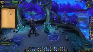 Wild Hunt Vendor location - WoW Shadowlands new Ardenweald rep quartermaster