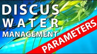 Discus Fish Tank - Aquarium Maintenance - Key Water Parameters, Conditions and Equipment