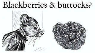 Debating skills: how to use Apophasis (example: crushing blackberries with buttocks) - Hamelyn #4