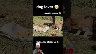 sad dog moment #dog # shorts # streetdog # dog life