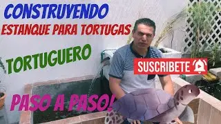 Здание ЧЕРЕПАХОВЫЙ ПРУД | TORTUGUERO