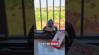 Teneis los peluches en el link de la descripci&oacute;n!! #peluches #alcohol #fiesta #excusas #humor