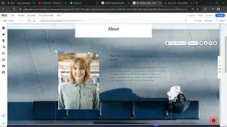 Website Management