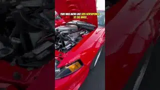 Track Focused 2000 SVT Mustang Cobra R