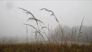 Crow's Nest Preserve   Natural Lands Trust   Oct 2020