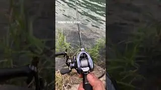SLX DC XT 71XG 2022 + DAIWA TATULA XT !