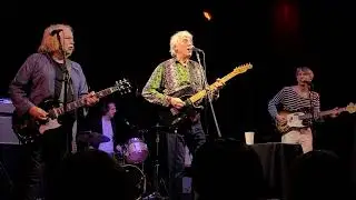 Robyn Hitchcock (with band):  