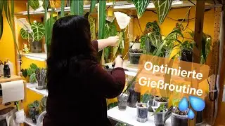 Optimierte Gießroutine Januar 2026 💦 - mineralisches und organisches Substrat 🪴