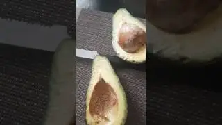 Organic avocado: harvest from my garden July 1, 2025