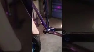 Omnium CXC V3 blurple Dream Build