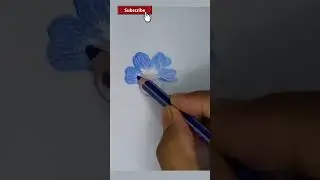 Asian Butterfly pea flower drawing #drawing