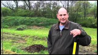 Deans Swale - Beginning Orchard
