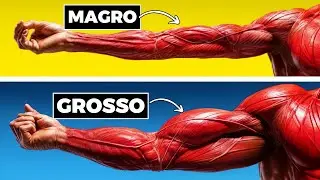 GLI UNICI 3 ESERCIZI PER COSTRUIRE BICIPITI CHE RIEMPIONO LA MAGLIETTA