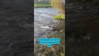 Як добро не навчило