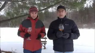 Wine Tasting: Niagara Landing Wine Cellars 2010 Vidal Blanc Ice