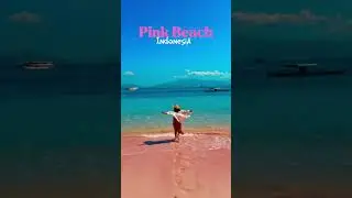 Hidden Gem, Pink Beach, Komodo Island, Indonesia #travel #viral #traveller
