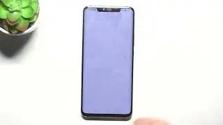 Huawei Mate 20 Pro - Enable or Disable Data Roaming | Manage Data Roaming Settings