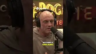 Truth in Chaos  Simple Honesty in a Confusing World#joerogan #oliveranthony