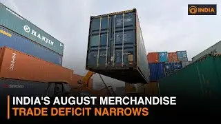 India's August merchandise trade deficit narrows | DD India