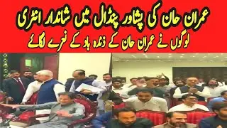 imran khan ki peshawar Pindall main shandar entry.#imrankhan #peshawar #tech_learn#pti