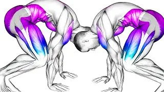 Gentle Pelvic Floor Exercise for Daily Fitness Routine