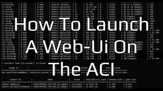 How To Launch A WebUI On The ACI