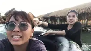 Koh Dach before 2020