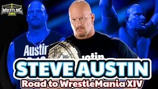 Stone Cold Steve Austin: The Road to WrestleMania XIV