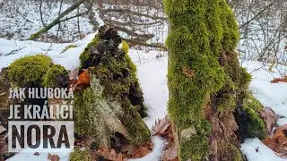 Jak hlubok&aacute; je kr&aacute;lič&iacute; nora? / How Deep Is the Rabbit Hole?