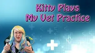 Kitty Plays: My Vet Practice