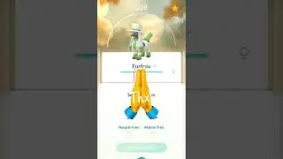 Worth to Evolve Matron Trim 🔥🔥 Dandy Trim Forms Evolution 🤔 Pok&eacute;mon Go!!