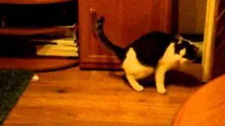 Shake ya' ass