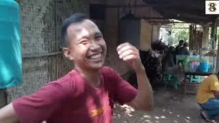 Trailer Latber LovebirdGantangan KMLU Kotabumi, Lampung utara