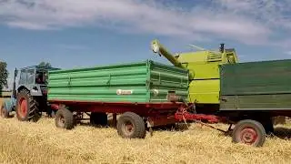 Claas Protector und Eicher - Gerstenernte 2019 Teil 1 *Original-Sound*