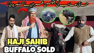 Imran Bought the Buffalo from Haji Sahib Today