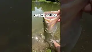 PB #fishingvideo #bassfeatured #fishingmethods #bait #fishingtechniques #bass #lurefishing #shorts