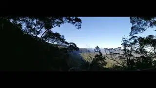 Mount Tamborine Witches Falls, Witches Chase and Palm Grove Sections