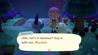 Raymond and Marshal cute conversation.  Animal Crossing