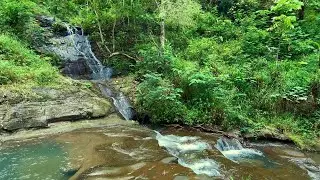 Peaceful Stream Ambience &ndash; Fall Asleep to Nature&rsquo;s Calm | sleep - relax - enjoy life - ASMR