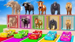 Long Slide Game With Cow Elephant Gorilla Hippopotamus Tiger - 3d Animal Game - Funny 3d Animals
