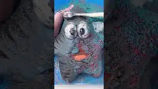 CLEANING SQUISHY ASMR💨💨Patrick Star#asmr